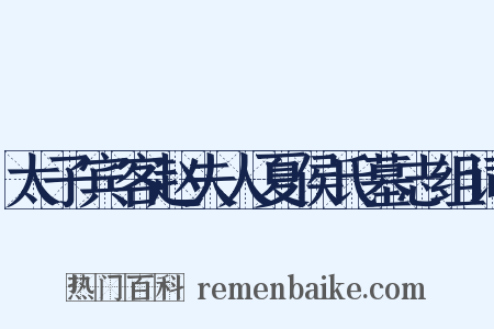 太子宾客赵夫人夏侯氏墓志组词是什么意思的图片